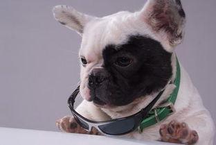 陈小春 啊哈 表情包,笑点满满，诠释生活百态