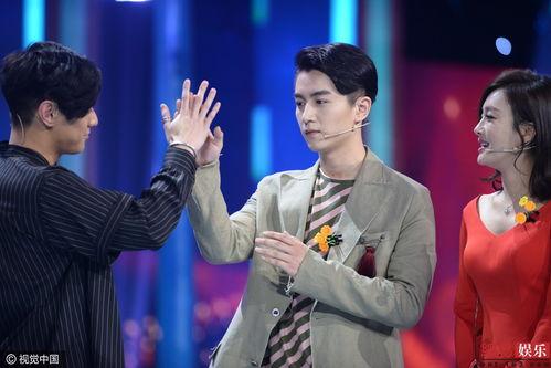 陈晓娱乐现场,揭秘明星幕后故事，畅谈演艺生涯心路历程