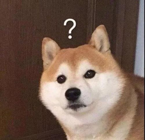 被风吹的表情包,表情包中的瞬间风华