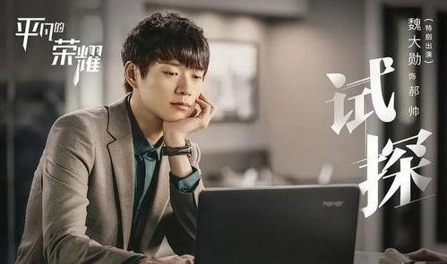 郝帅h背景,从平凡走向卓越的奋斗历程